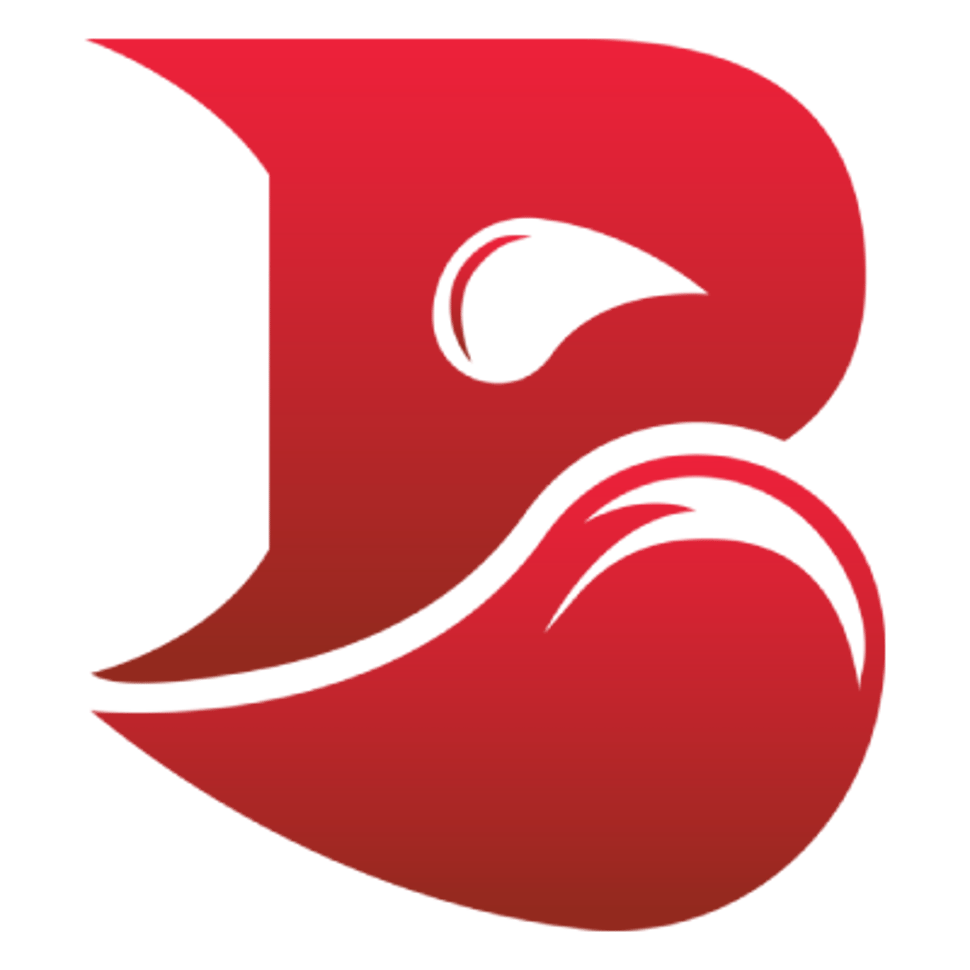 Bleed eSports