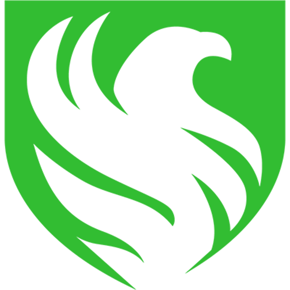 Falcons Esports