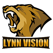 Lynn Vision