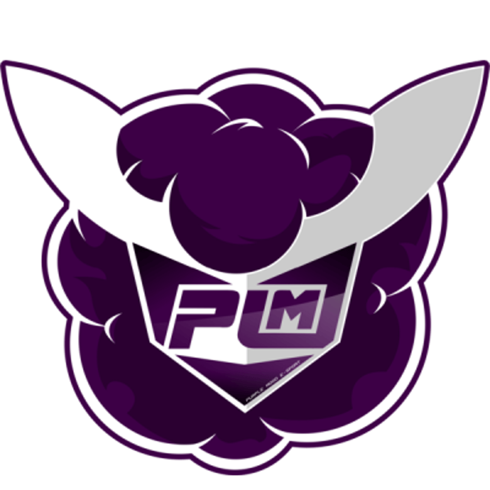 Purple Mood Esports