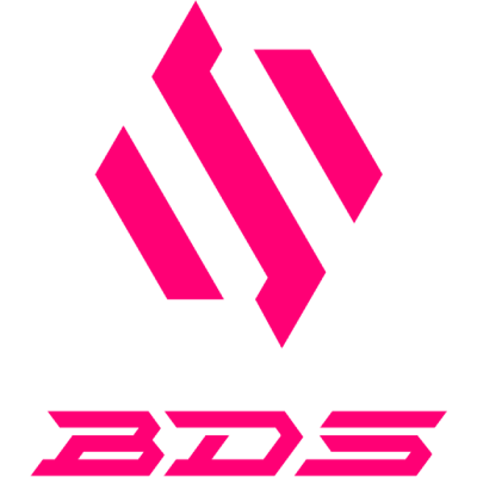 Team BDS