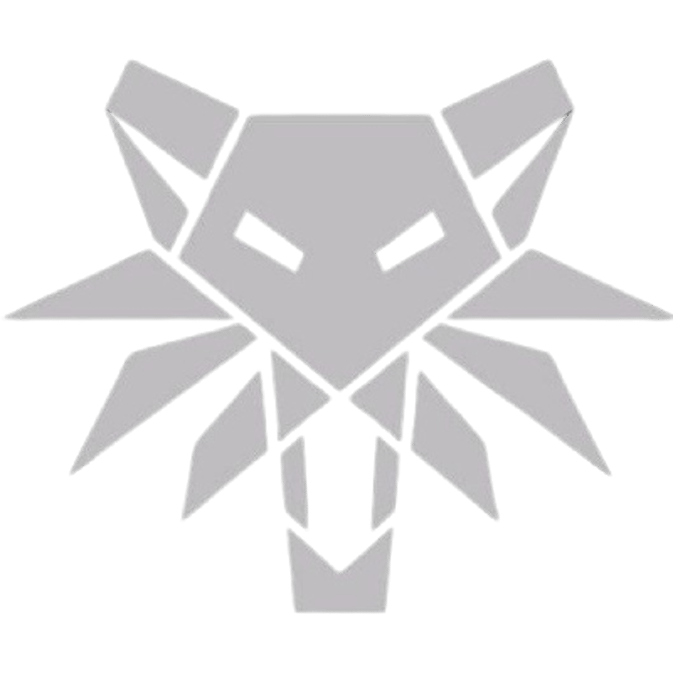 The Witchers
