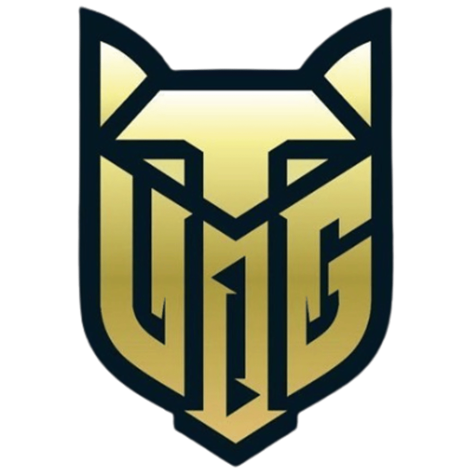 V1dar Gaming